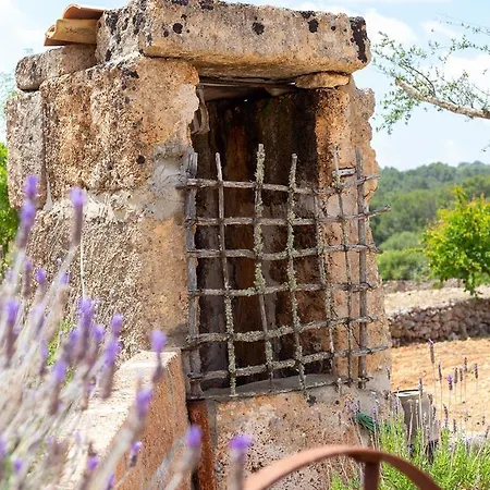 Son Fornes Ferienhaus